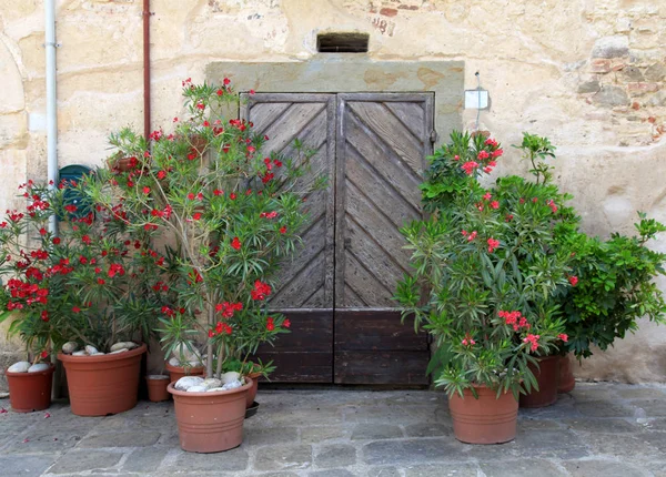 Oude houten deur, versierd met bloemen, Toscane, Italië — Stockfoto