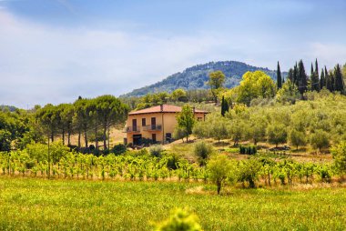 Tuscan kırsal manzara ile çiftlik evi, İtalya