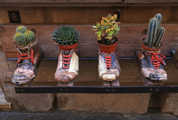 Vasos de flores decorativos em sapatos antigos — Fotografia de Stock