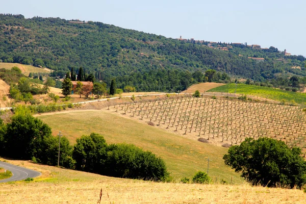 Vista panoramica del tipico paesaggio toscano, Italia — Foto Stock