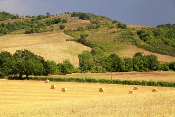 黄色の丘フィールド ・ ランドス ケープおよび干し草の俵、トスカーナ、イタリア — ストック写真