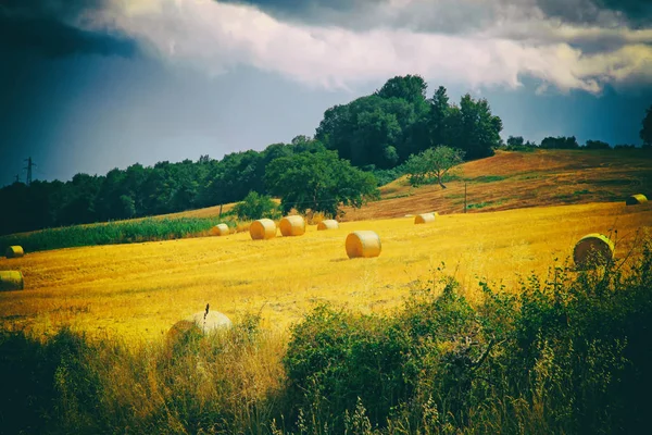 Tuscany landscape with hay bales, hills and meadow, Tuscany, Italy — Stock Photo, Image