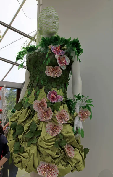 Decoración florística orquídea y maniquí en invernadero de flores, Keukenhof —  Fotos de Stock