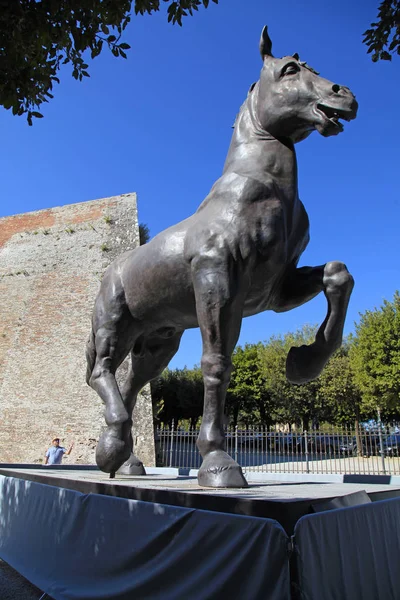 Reproducción de la estatua del caballo de Leonardo da Vinci, Montepulciano, Italia — Foto de Stock