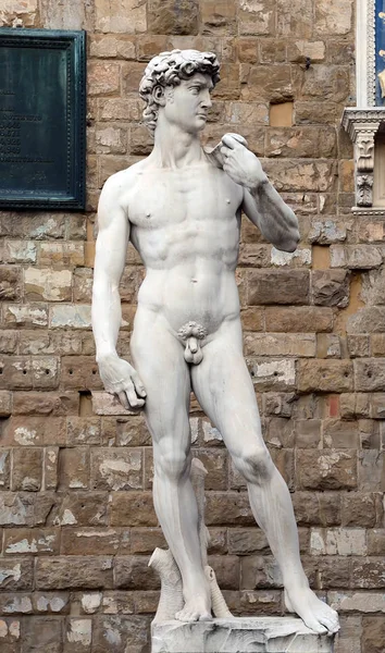 Floransa'da Michelangelo'nun david heykeli