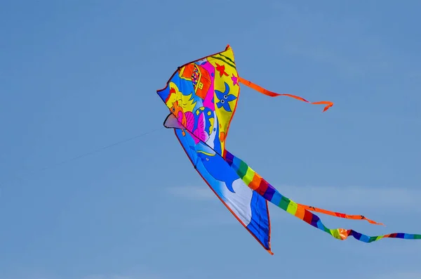 彩色风筝在天空中飞翔 — 图库照片