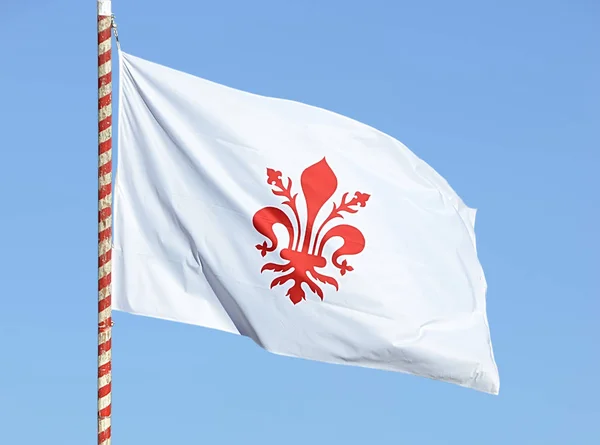 Floransa İtalyan bayrağı havada sallayarak kırmızı lily ile