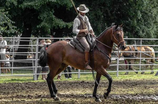 Ortak olay sırasında sırtında Buttero