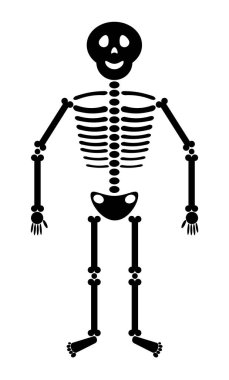 Gülümseen sevimli vektör iskeleti