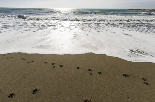 Fondo Paisaje Marino Con Huellas Playa — Foto de Stock