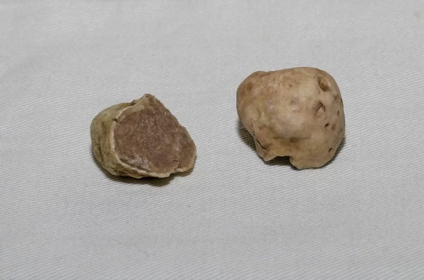 Specimen of fine white truffle in the foreground