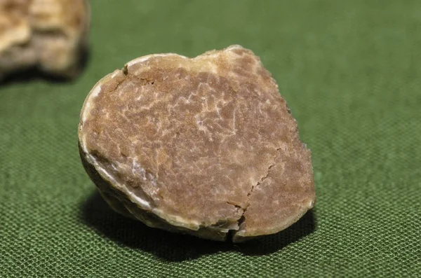 Specimen of fine white truffle in the foreground