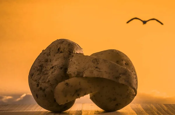 Pair Mature Potatoes Embracing Each Other Sunset — Stock Photo, Image