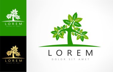 Yeşil ağaç logo vektör