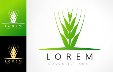 buğday kulakları logosu