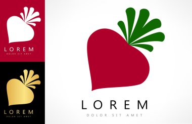 pancar, Bahçe pancar, kırmızı pancar veya pancar.