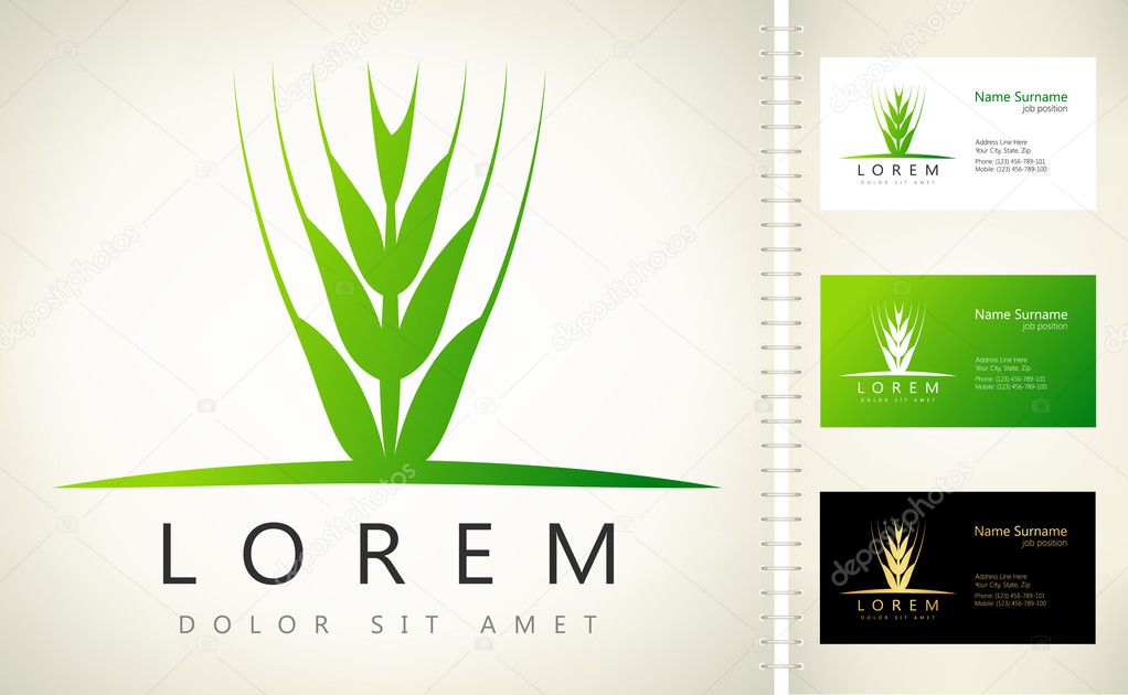 Wheat ears logo. Vector graphic design elements for company logo.