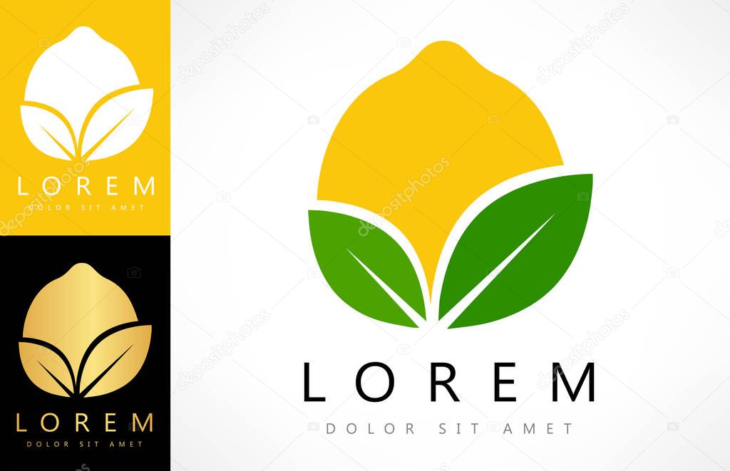 Lemon logo vector. Fruit design.
