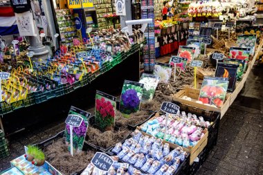 20 Aralık 2017 - çiçek ve tohum satışa Bloemenmarkt, çiçek pazarı, Amsterdam, Hollanda