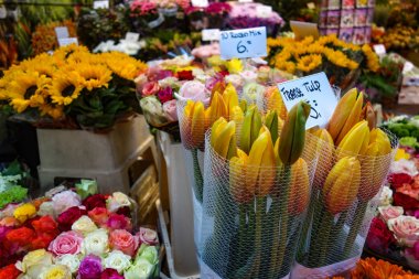 20 Aralık 2017 - çiçek ve tohum satışa Bloemenmarkt, çiçek pazarı, Amsterdam, Hollanda