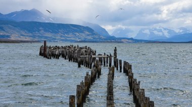 Almirante Montt Körfez Patagonia - Puerto Natales, Magallanes bölgesi, Şili'de eski iskele (Muelle Historico)