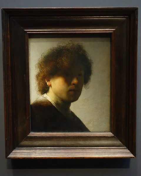 Dec 2017 Self Portrait Early Age 1667 Rembrandt Harmensz Van — Stock Photo, Image
