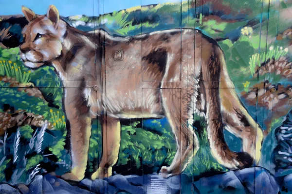 Feb 2018 Mural Que Representa Puma Pintado Una Pared Ciudad — Foto de Stock