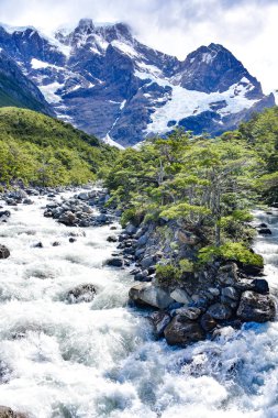 Rio del Frances kampı Site Italiano, Torres del Paine Milli Parkı, Patagonia, Chile