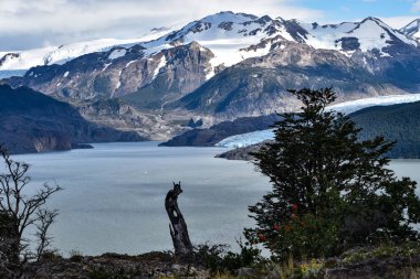 Gölü gri ve gri Glaciar Güney Patagonya buz alanı, Torres del Paine Milli Parkı, Şili