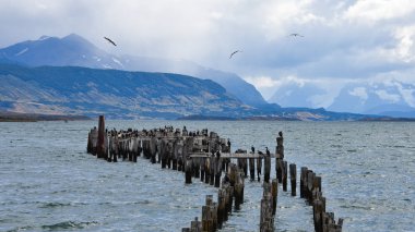 Almirante Montt Körfez Patagonia - Puerto Natales, Magallanes bölgesi, Şili'de eski iskele (Muelle Historico)