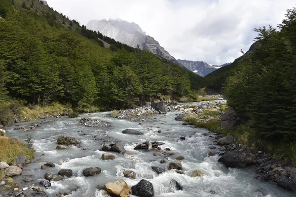 Řeka Teče Podél Valle Asencio Blízkosti Refugio Chileno Torres Del — Stock fotografie