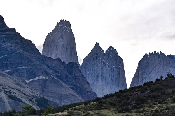 Απόψεις Του Torres Del Paine Από Laguna Armaga Παταγονία Της — Φωτογραφία Αρχείου