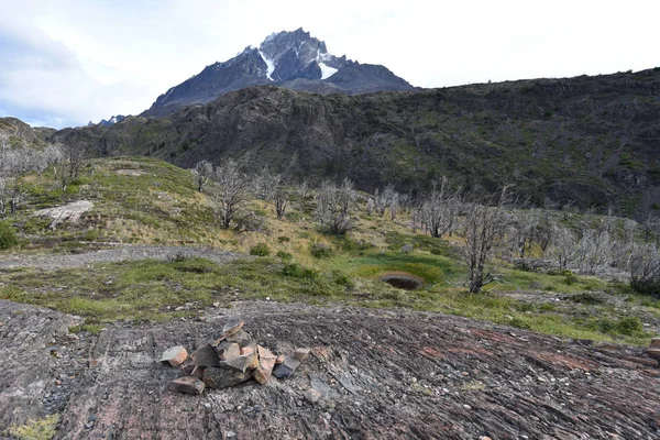 Picos Montaña Bosques Lenga Quemados Cordon Olguin Parque Nacional Torres — Foto de Stock