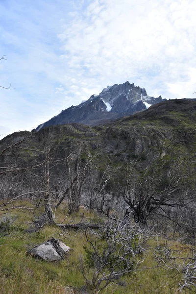 Picos Montaña Bosques Lenga Quemados Cordon Olguin Parque Nacional Torres — Foto de Stock