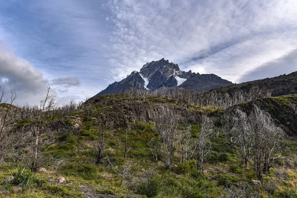 Picos Montaña Bosques Lenga Quemados Cordon Olguin Parque Nacional Torres — Foto de Stock