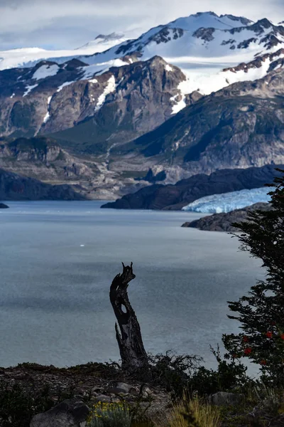 智利托雷斯德尔潘恩国家公园巴塔哥尼亚南部冰场的灰湖和灰色冰川 — 图库照片