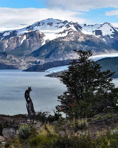 Lago Grey Glaciar Grey Campo Hielo Patagonia Sur Parque Nacional — Foto de Stock