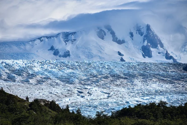 Lake Grey Und Der Graue Gletscher Südlichen Patagonischen Eisfeld Torres — Stockfoto