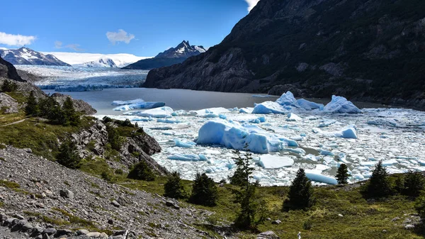 Jezioro Grey Glaciar Grey Południowej Patagonii Lodowe Pola Torres Del — Zdjęcie stockowe