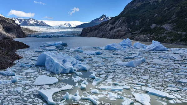 Lake Grey Und Der Graue Gletscher Südlichen Patagonischen Eisfeld Torres — Stockfoto