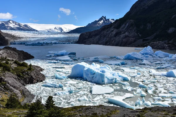 Gölü Gri Gri Glaciar Güney Patagonya Buz Alanı Torres Del — Stok fotoğraf