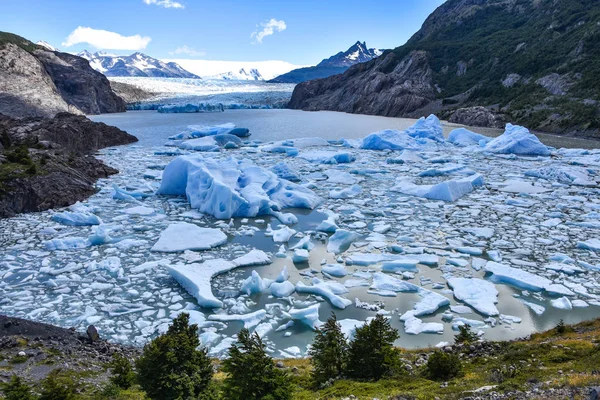 Lac Grey Glaciaire Grey Dans Champ Glace Sud Patagonie Parc — Photo