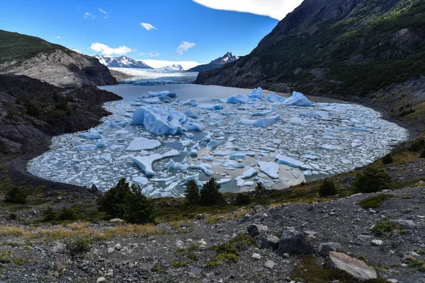 Lake Grey Und Der Graue Gletscher Südlichen Patagonischen Eisfeld Torres — Stockfoto