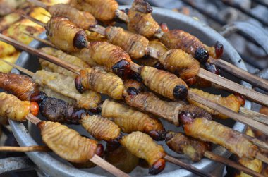 Suri - palm sap üzerinde beslemeleri bir Amazon grub ızgara ve Iquitos, Peru bir aperatif yiyecek olarak görev yaptı