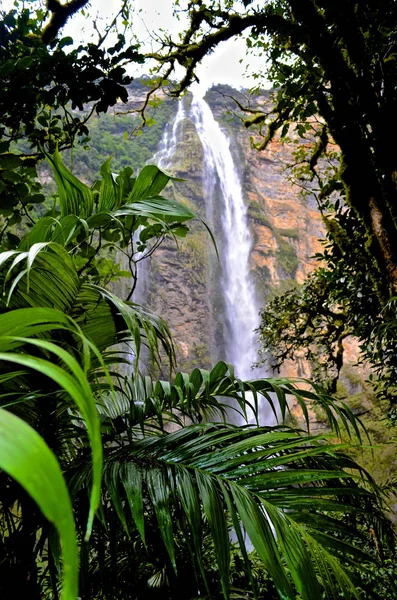 Gocta Wodospad 771M Wysokości Chachapoyas Amazonas Peru — Zdjęcie stockowe