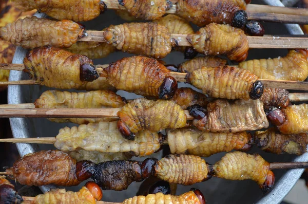 Suri Uma Larva Amazônica Que Alimenta Seiva Palma Grelhada Servida — Fotografia de Stock