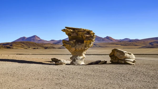 Arbol Piedra Stone Tree Rock Formation Eduardo Avaroa Andean Fauna — Stock Photo, Image
