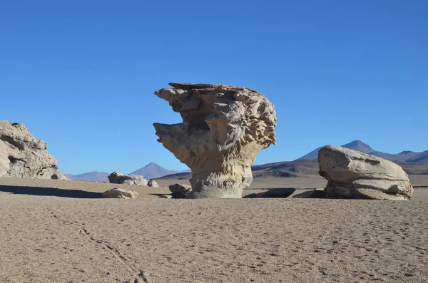 Arbol Piedra Stone Tree Rock Formation Eduardo Avaroa Andean Fauna — Stock Photo, Image