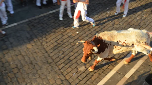 Crowds Participate Annual Running Bulls San Fermin Festival Pamplona Spain — Stock Photo, Image