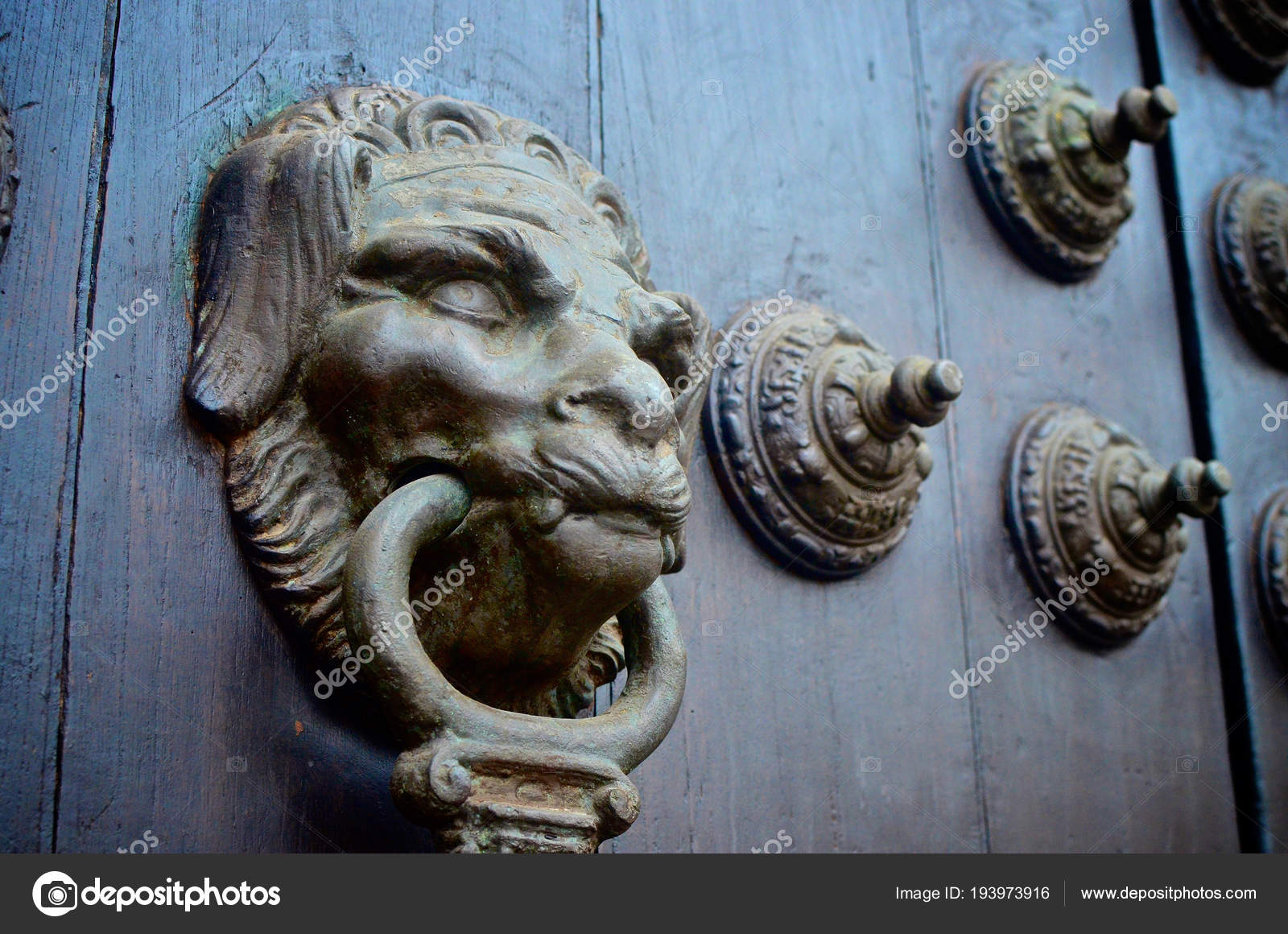 Lion Head Door Knocker Detail Doors Lima Cathedral Peru